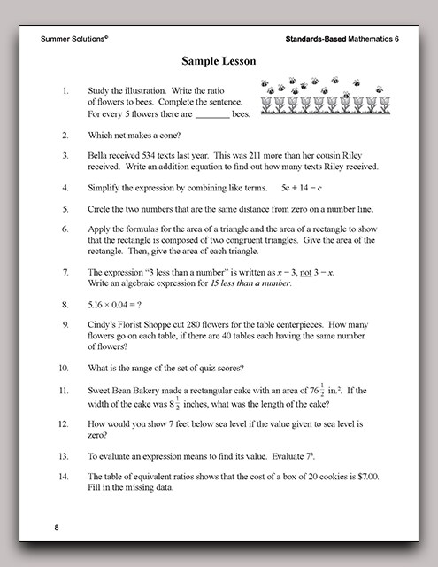 Standards Based Mathematics 6